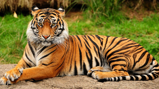 1755079 (a): :1920x1080